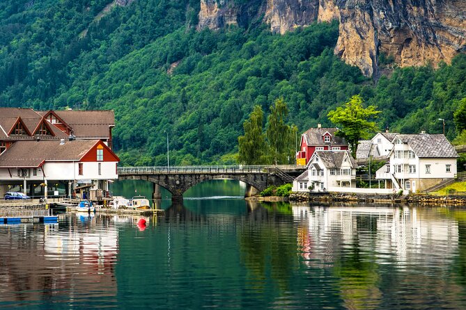 Bergen in a day, Guided tour: Old Town, Waterfalls & Waffles - Stop 3: Stone Age carvings with a fjord view