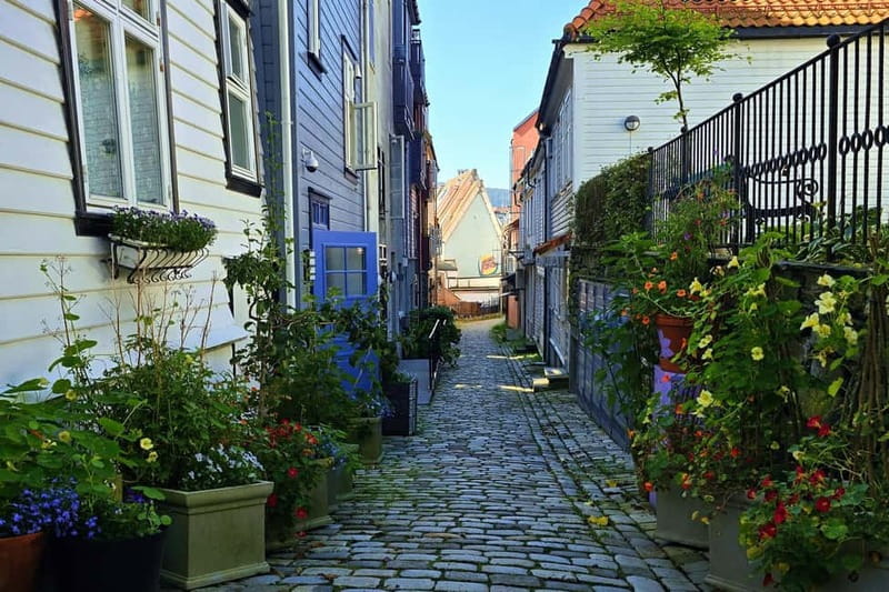 Bergen Like a Local: Culture, Views, and the Stave Church - A Bergen tour that mixes big views with real street-level life