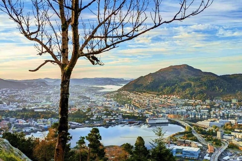 Bergen Like a Local: Culture, Views, and the Stave Church - Fløibanen up to Fløyen, where the views do the talking