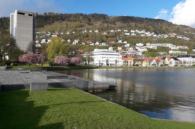 Bergen: Local food tasting & Excursion with a city view from the top - The Torgalmeningen and Grieg Hall walk, a city rhythm break