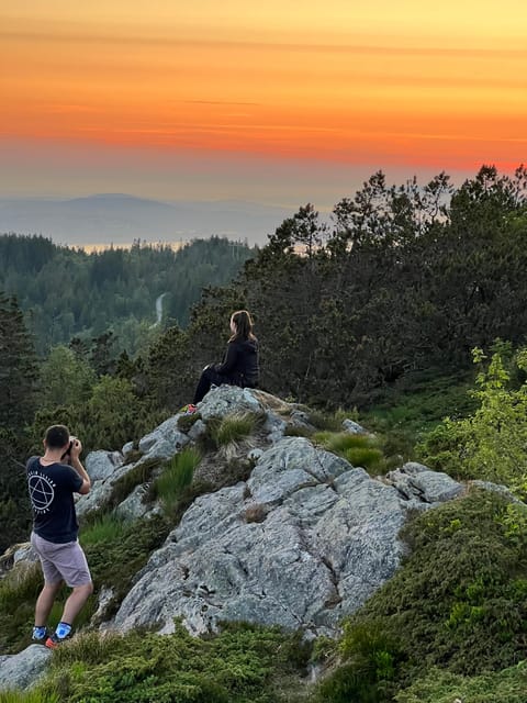 Bergen Magical Nature Tour | ViFlowExperience - Key highlights that make this tour different