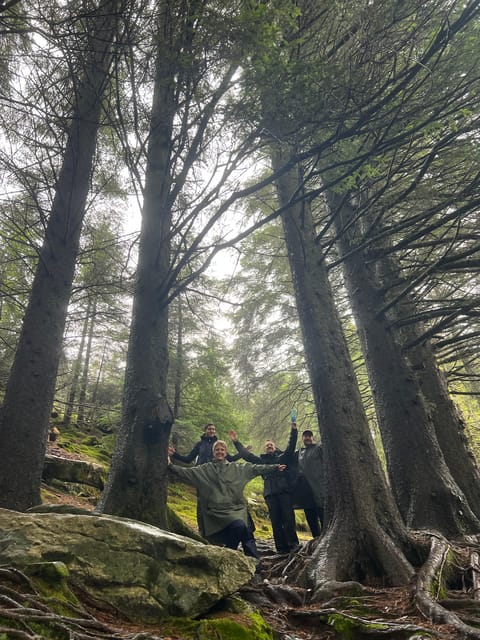 Bergen Magical Nature Tour | ViFlowExperience - What to bring, and how to dress for Bergen’s changeable weather