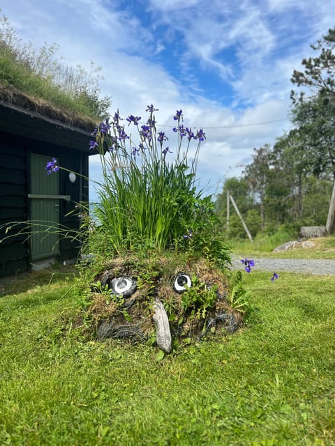 Bergen Magical Nature Tour | ViFlowExperience - Top-of-mountain views plus the warm break you will actually remember
