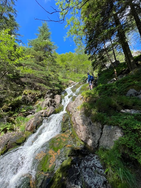 Bergen Magical Nature Tour | ViFlowExperience - Your guide, English or Spanish, and the value of personal tailoring