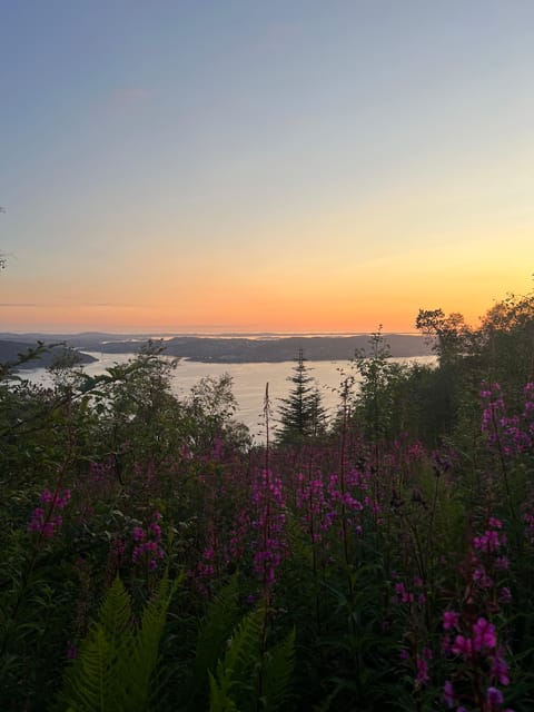 Bergen Magical Nature Tour | ViFlowExperience - The 3.5-hour hike: quiet trails, lakes, and wildlife talk