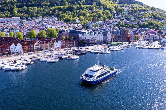 Bergen Mostraumen Fjord Cruise with Local Guide - Who This Fjord Cruise Fits Best (and Who Should Consider Other Options)