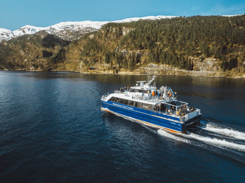 Bergen: Mostraumen Fjord Cruise - with Local Tour Guides - Value and who this cruise fits best