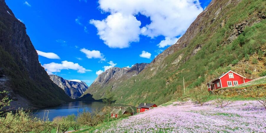 Bergen: Nærøyfjorden, Flåm, and Stegastein Guided Bus Tour - Bergen to the fjords: a day built for big views