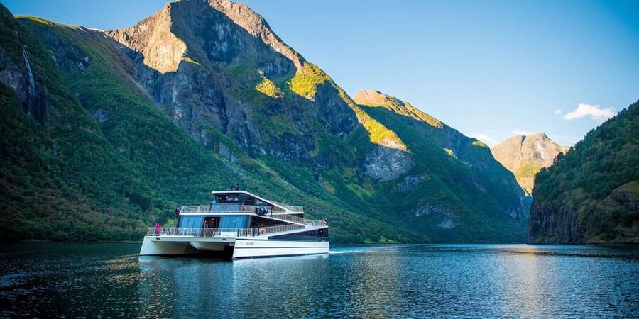 Bergen: Nærøyfjorden, Flåm, and Stegastein Guided Bus Tour - Nærøyfjorden UNESCO cruise: the two-hour payoff