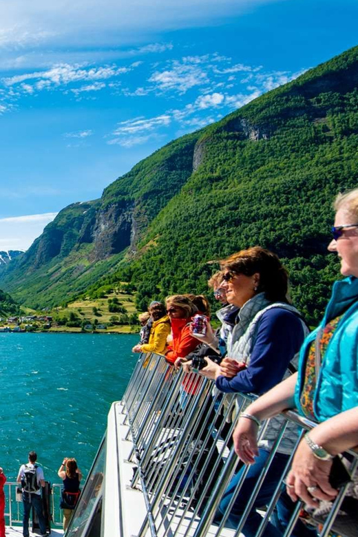 Bergen: Nærøyfjorden, Flåm, and Stegastein Guided Bus Tour - Value for the price: why 309 can make sense