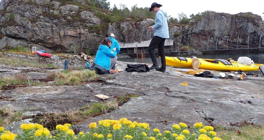 Bergen: Øygarden Islets Guided Kayaking Tour - Pickup at Bergen tourist information, then straight to the water