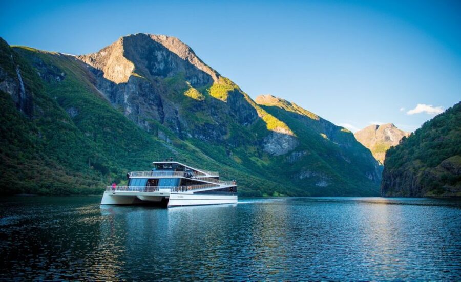 Bergen: Private Day Tour, Nærøyfjord Cruise and Flåm Railway - Flåm Railway: steep views with a built-in drama factor