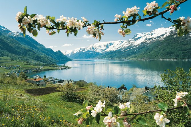 Bergen: Private Full-Day Roundtrip to Hardangerfjord with cruise - Fossen Bratte, Steinsdalsfossen, and the Stops That Make the Day Feel Full