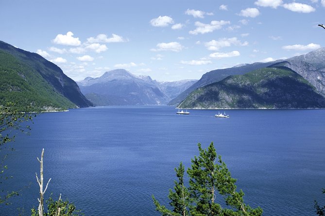 Bergen: Private Full-Day Roundtrip to Hardangerfjord with cruise - Vøringfossen: Platforms, Close Photos, and the Real Sound of Water