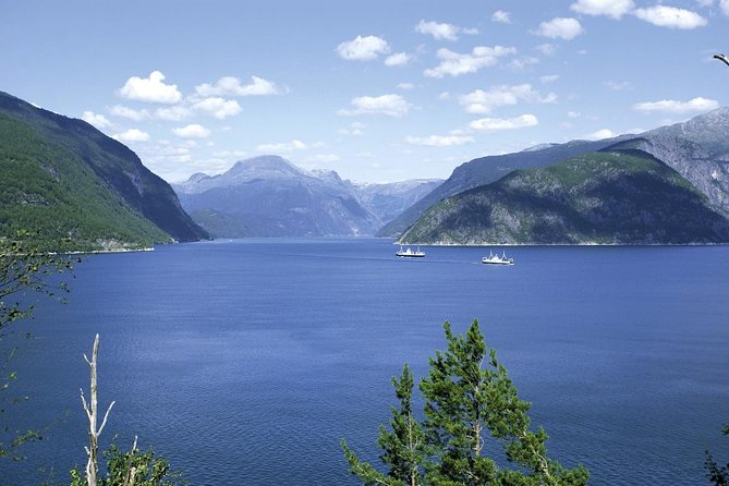 Bergen: Private Full-Day Roundtrip to Hardangerfjord with cruise - Hardanger Bridge Crossing and Eidfjord Stops: The Day’s Big Finish