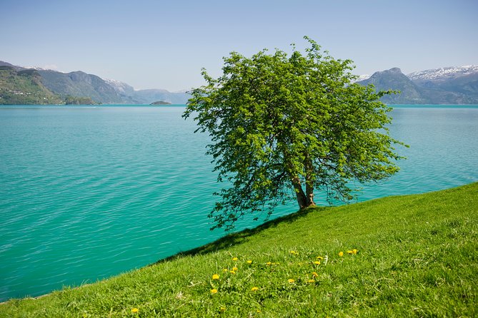 Bergen: Private Full-Day Roundtrip to Hardangerfjord with cruise - The Hardangerfjord Cruise: Getting the Fjord’s Scale in 40 Minutes