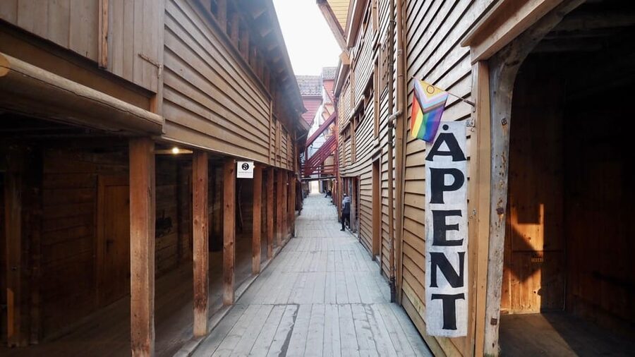 Bergen: Private tour in your own language - The National Scene and royal hall areas: what you can and cannot get inside