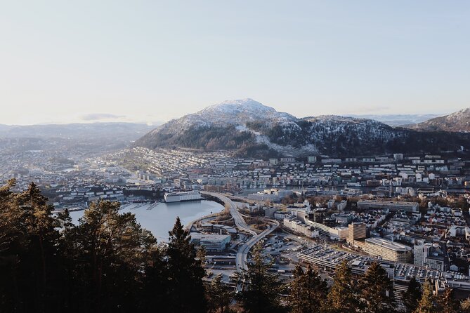 Bergen: Private Walking Tour with a Local - Why a local walking tour matters in Bergen