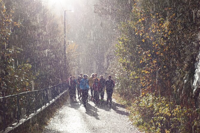 Bergen: Private Walking Tour with a Local - Timing: 2 to 6 hours that you can actually use
