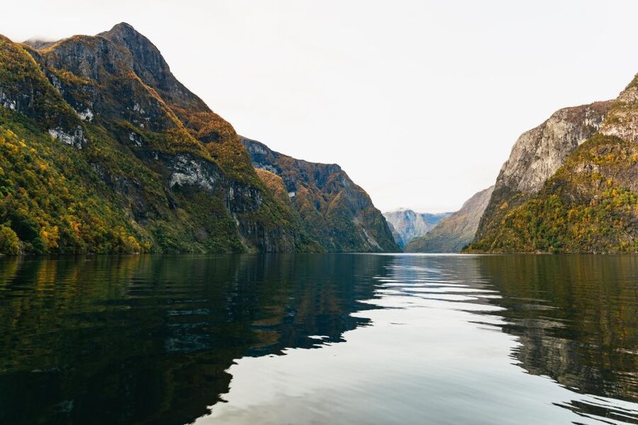 Bergen: Self-Guided Round-Trip Full-Day Excursion - The return to Bergen: efficient, not leisurely