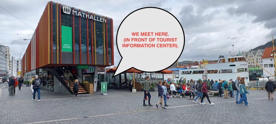 Bergen: Sightseeing Walking Tour with Ferry Ride - The ferry ride: the Vikings approach, plus fjord-level perspective