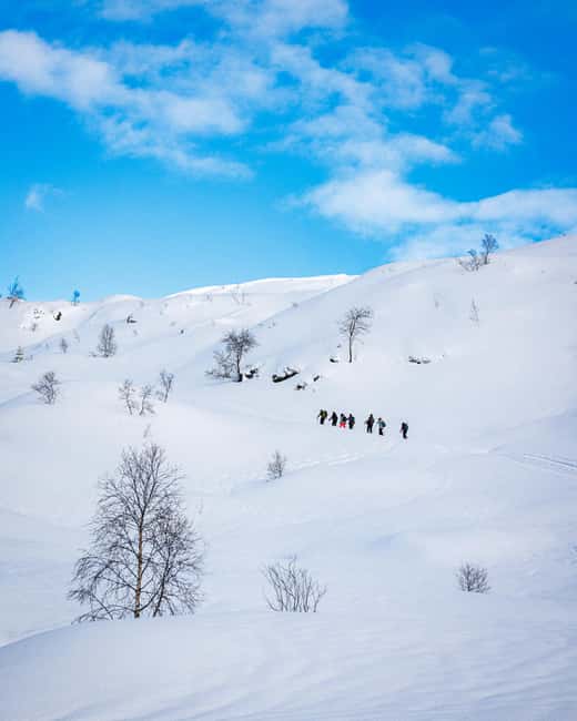 Bergen: Snowshoe Hike - Key Things You Should Know Before You Go