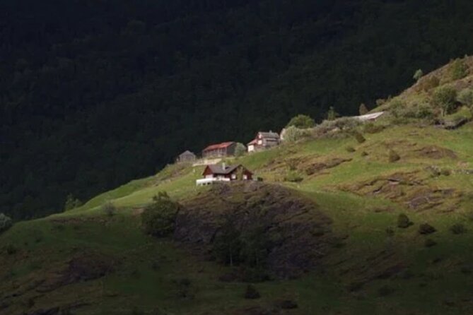 Bergen to Flam "The King of Fjords" One-Way or Round-Trip Cruise Ticket - Included vs Not Included: What to Plan and What to Budget