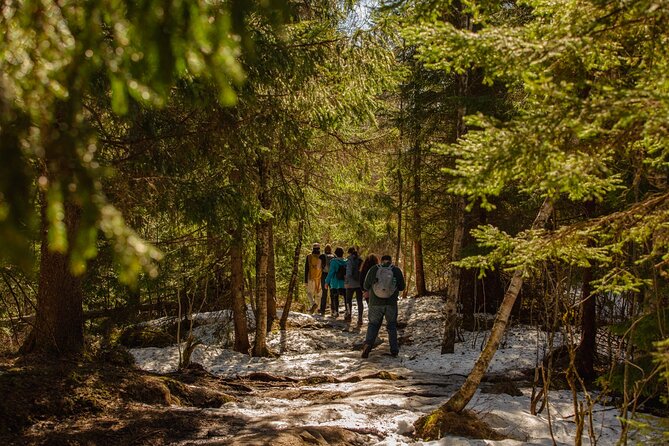 Best View of the Oslofjord Hike - What the 5.4 km walk really means for you