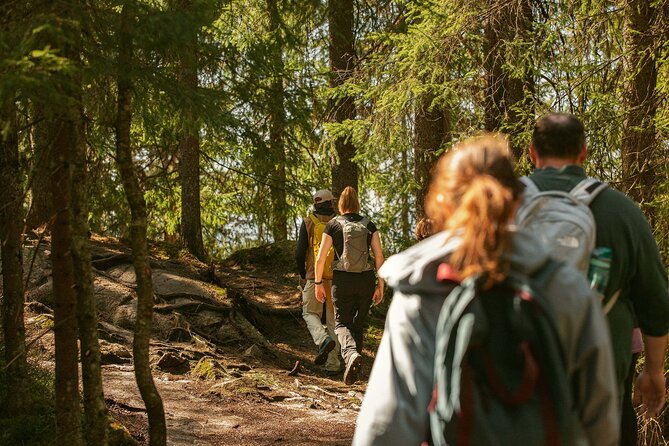 Best View of the Oslofjord Hike - Frognerseteren forest walk, when the city gets quiet fast