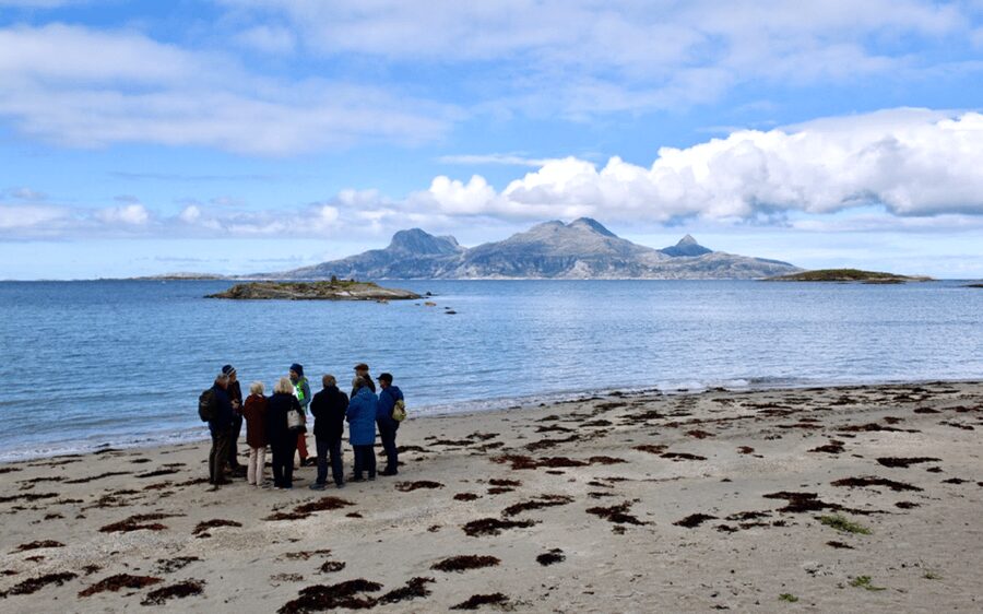 Bodø: Arctic Coastal Walk - From Hurtigruten Quay to the Arctic shoreline, without the stress