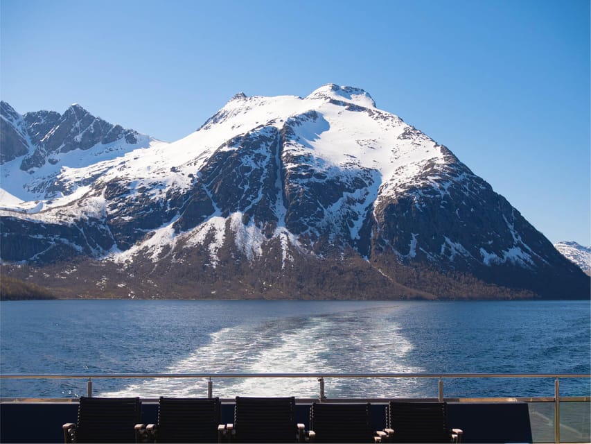 Bodø: Beiar Fjord & Saltstraument Cruise - Saltstraumen: how the photo stop and guided tour fit together