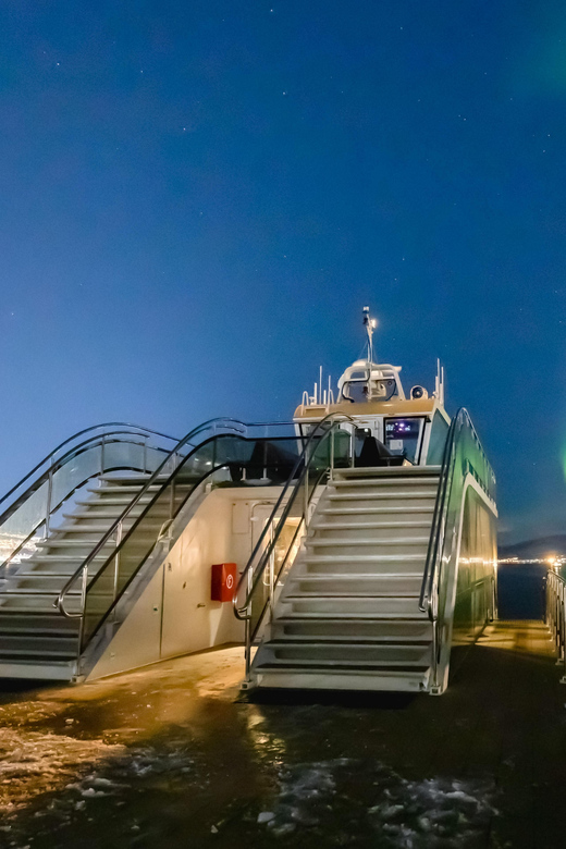 Bodø: Northern Lights Cruise - How the 3-Hour Aurora Hunt Usually Plays Out