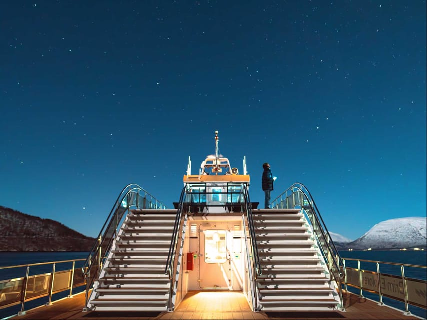 Bodø: Northern Lights Cruise - Bodø After Dark: More Than Just a Boat Trip