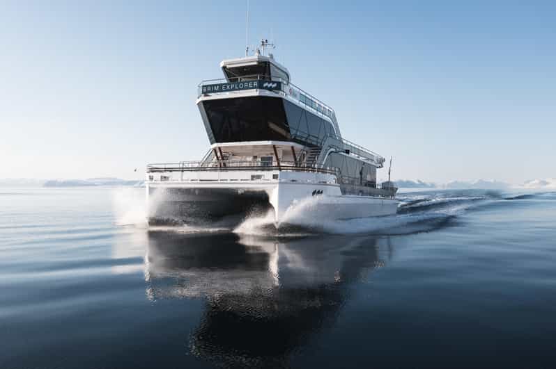 Bodø: Northern Lights Cruise - Who This Northern Lights Cruise Suits Best