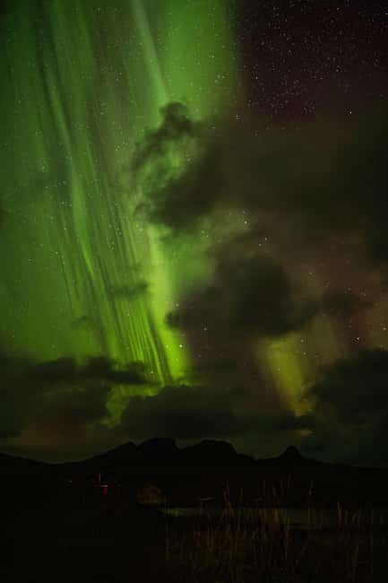 Bodø: Northern Lights safari - Key points you’ll care about