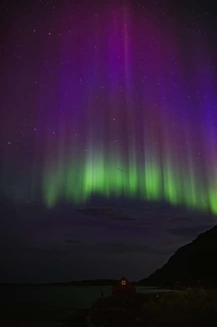 Bodø: Northern Lights safari - Bodø northern lights from the bus: why this setup works