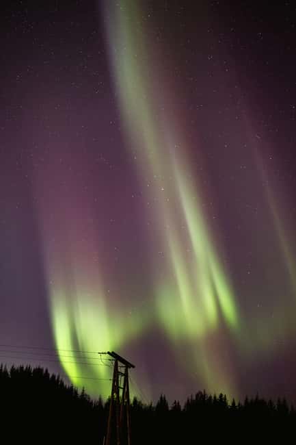Bodø: Northern Lights safari - What the guide actually does for you