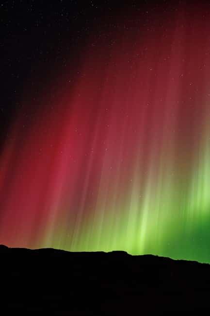 Bodø: Northern Lights safari - Price and value: is $181 per person fair?