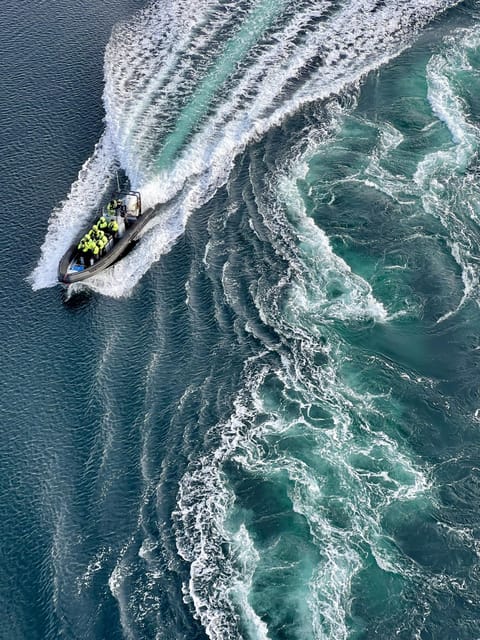 Bodø: Saltstraumen RIB Safari - Key points before you go