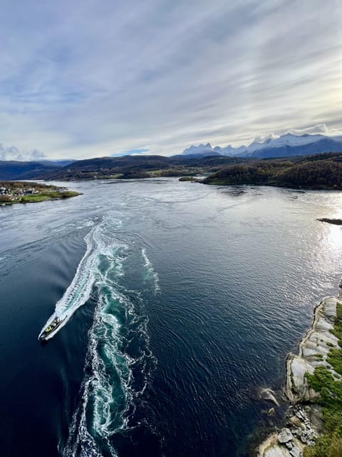 Bodø: Saltstraumen RIB Safari - Why Saltstraumen is the main reason to pick Bodø