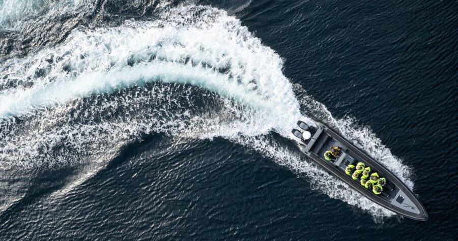 Bodø: Saltstraumen Sea Eagle Trip by RIB - Key things to know before you go