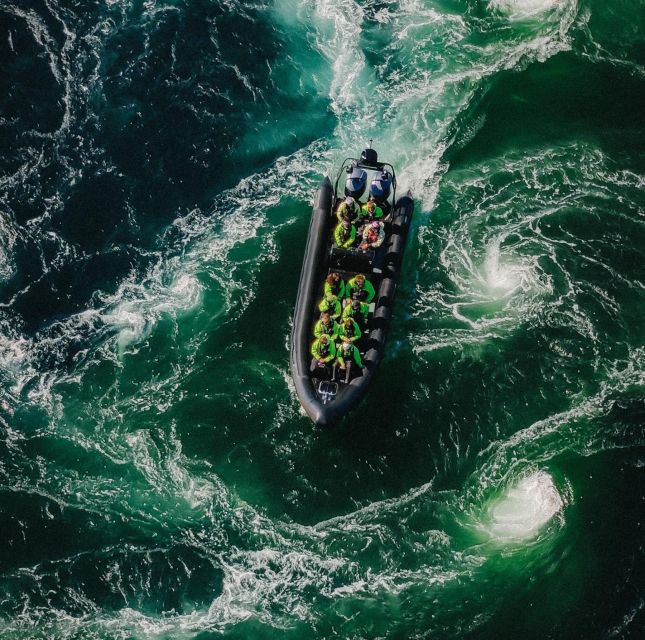 Bodø: Saltstraumen Sea Eagle Trip by RIB - Getting started at Explore Salten in Bodø