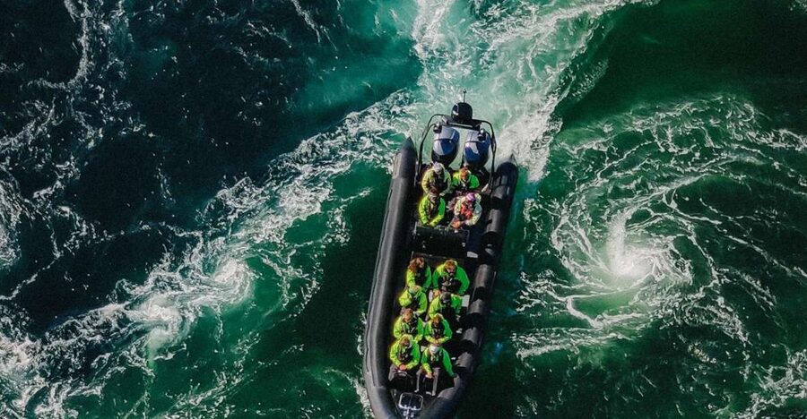 Bodø: Saltstraumen Sea Eagle Trip by RIB - White-tailed eagles up close: what to watch for