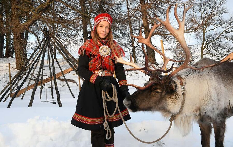 Bodø: Sami Experience in Bodø - From Bodø Tourist Information to a Sami camp, in winter comfort