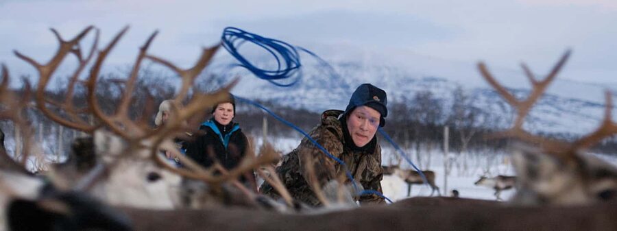 Bodø: Sami Experience in Bodø - Should you book the Bodø Sami Experience?