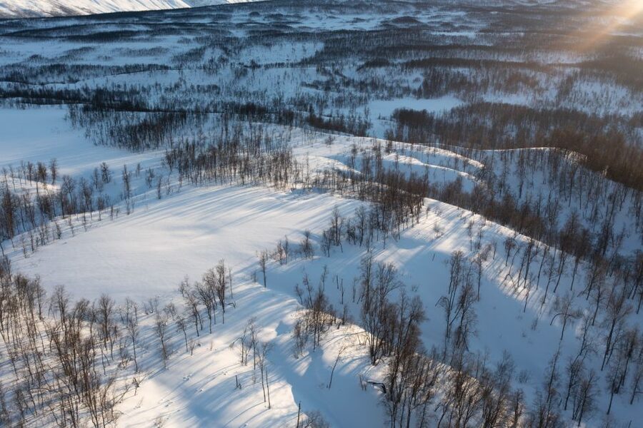 Breivikeidet: Cross-Country Skiing & Husky Visit - First Ski Moments: Learning How to Fall Without Panic