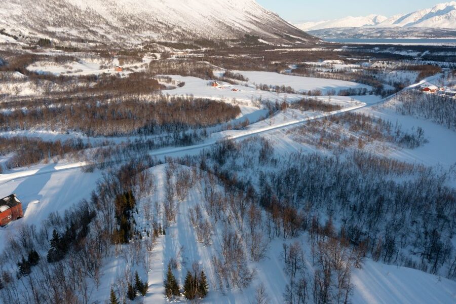 Breivikeidet: Cross-Country Skiing & Husky Visit - The Cross-Country Trek Through Arctic Scenery and Lyngen Views