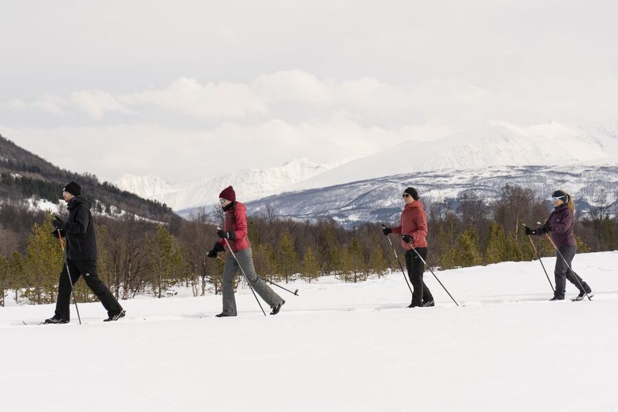 Breivikeidet: Cross-Country Skiing & Husky Visit - Warming Up in the Lavvu: Hot Drinks, Cake, and Campfire Comfort