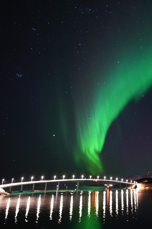 Chase the Magic of the Northern Lights in Tromsø Norway - Warmth and gear: why the suits matter more than you think