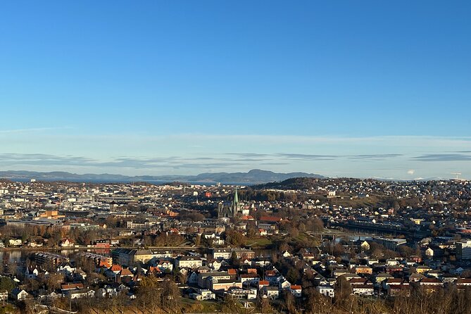 City Bus Tour in Trondheim, Norway - Key Things to Know Before You Ride